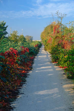Lombardy, Italy: bicycle track along the Villoresi canal at fall (october)