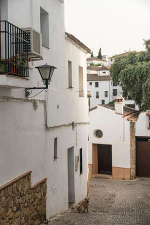 Ronda (Andalucia, Spain): old typical street with white houses