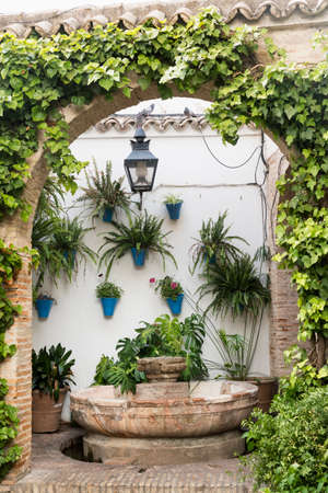Cordoba (Andalucia, Spain): court (patio) of a historic typical house with plants and flowersの写真素材