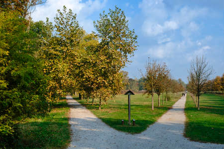 Monza (Brianza, Lombardy, Italy): the park at fall (october), two pathsの写真素材