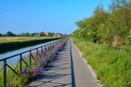 Cycling lane along the Naviglio Pavese, from Pavia to Milan (Lombardy, Italy) in the springtime.の写真素材
