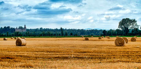 Rivalta Trebbia (Piacenza, Emilia Romagna, Italy): country landscape with the historic castleの写真素材