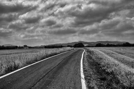 Country landscape at summer. The road from Ancarano to Ponte dell'Olio (Piacenza, Emilia Romagna,...