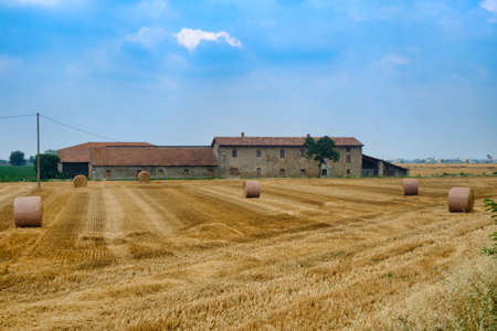 Country farm near Zaffignana (Piacenza, Emilia Romagna, Italy): landscape along the road from Ponte dell'Olio to Carpaneto Piacentinoのeditorial素材