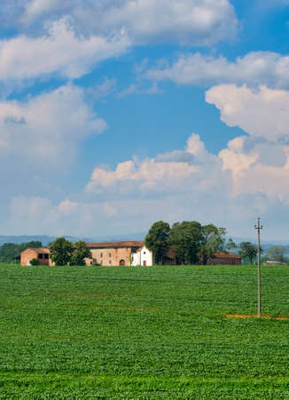 Country landscape at summer along the road from Fiorenzuola d'Arda to Castell'Arquato (Piacenza, Emilia-Romagna, Italy). Old farm houseの写真素材