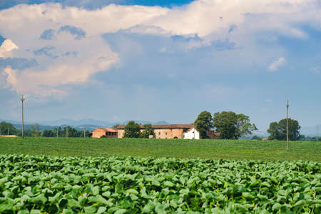 Country landscape at summer along the road from Fiorenzuola d'Arda to Castell'Arquato (Piacenza, Emilia-Romagna, Italy). Old farm houseの写真素材
