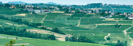 Rural landscape at summertime along the road from Vicobarone  (Piacenza, Emilia Romagna, Italy) to...