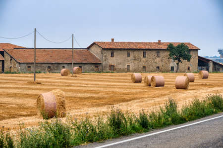 Country farm near Zaffignana (Piacenza, Emilia Romagna, Italy): landscape along the road from Ponte dell'Olio to Carpaneto Piacentinoの写真素材