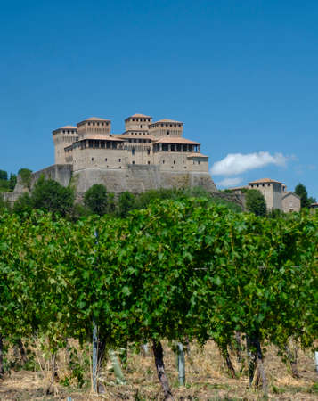 The medieval castle of Torrechiara (Parma, Emilia Romagna, Italy) at summerの写真素材