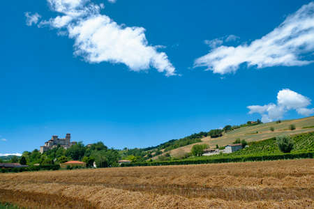 The medieval castle of Torrechiara (Parma, Emilia Romagna, Italy) at summerのeditorial素材