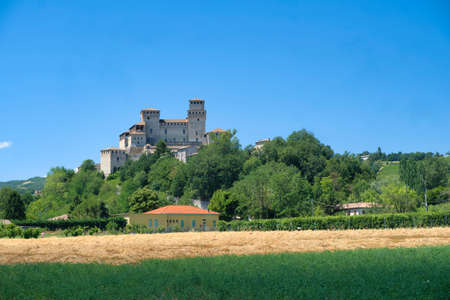 The medieval castle of Torrechiara (Parma, Emilia Romagna, Italy) and vineyards at summerのeditorial素材