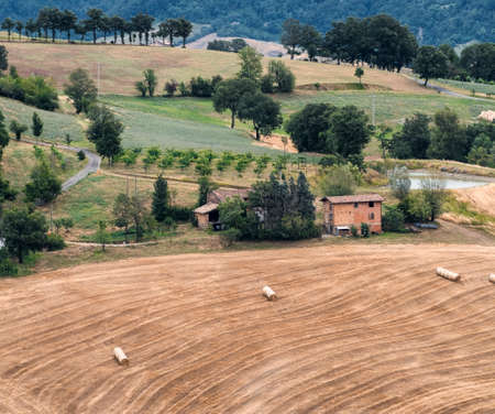 Summer  landscape along the road from Serramazzoni to Marano sul Panaro (Modena, Emilia Romagna,...