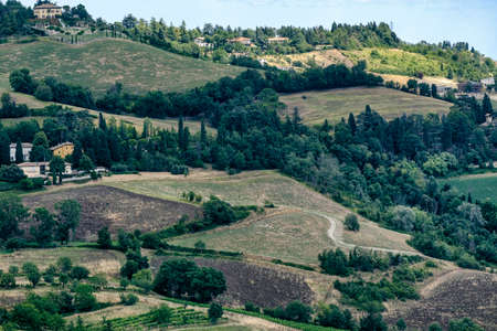 Sabbiuno (Bologna, Emilia Romagna, Italy): landscape at summerの写真素材