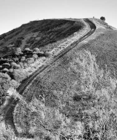 Country landscape between Riolo Terme and Brisighella (Ravenna, Emilia Romagna, Italy) at summer. Wiinding path. Black and whiteの写真素材