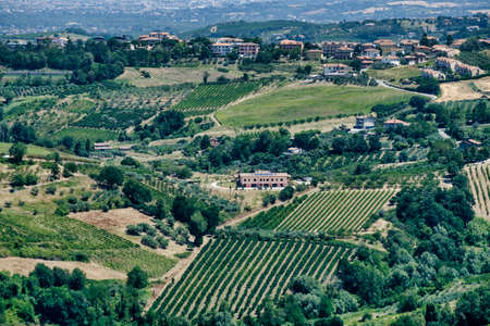 Country landscape  in Romagna along the road from Cesena to Sogliano al Rubicone at summer. Vineyardsの写真素材