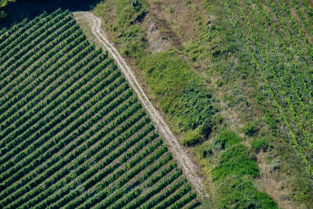 Country landscape  in Romagna along the road from Cesena to Sogliano al Rubicone at summer....