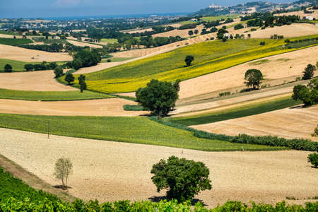 Rural landscape along the road from Montefano to Castelfidardo (Ancona, Marches, Italy), at summer.の写真素材