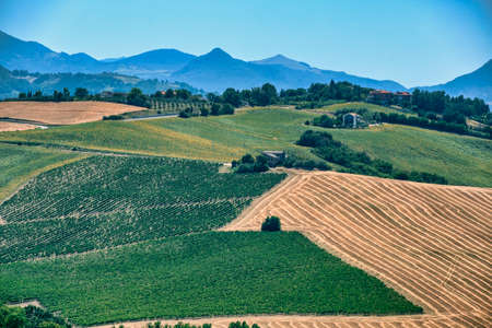 Rural landscape along the road from Ostra to Jesi (Ancona, Marches, Italy), near Belvedere Ostrense, at summer.の写真素材