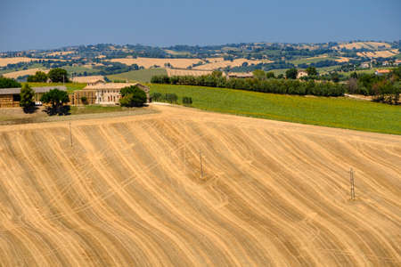 Rural landscape along the road from Ostra to Jesi (Ancona, Marches, Italy) at summer.の写真素材