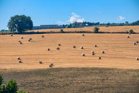 Landscape near Loreto Aprutino (Pescara, Abruzzi, Italy) at summerの写真素材