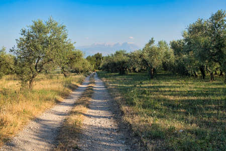 Landscape along the road from Penne to Loreto Aprutino (Pescara, Abruzzi, Italy) at summerの写真素材