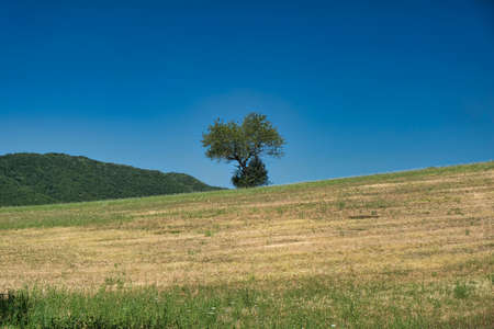 Landscape along the road from L'Aquila to Sella di Corno (Abruzzi, Italy) at summerの写真素材