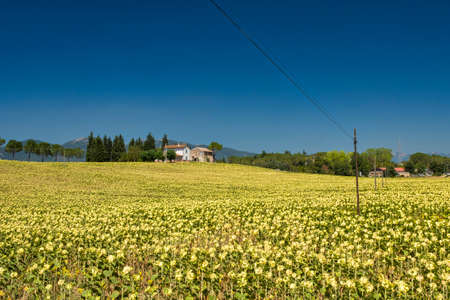 Typical farm along the road from Terni to Narni (Umbria, Italy). Summer landscapeのeditorial素材
