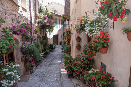 Historic buildings of Spello, medieval city (Perugia, Umbria, Italy). Alleyの写真素材