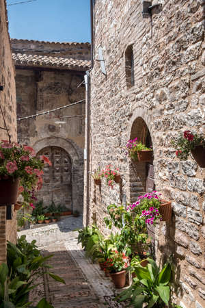 Historic buildings of Spello, medieval city (Perugia, Umbria, Italy). Alleyの写真素材