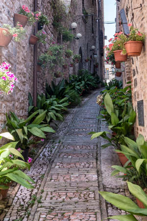 Historic buildings of Spello, medieval city (Perugia, Umbria, Italy). Alleyの写真素材
