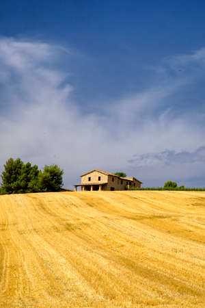 Summer landscape along the road from Bastardo to Bevagna, Perugia, Umbria, Italy