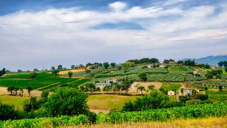 Summer landscape along the road from Bastardo to Bevagna, Perugia, Umbria, Italy