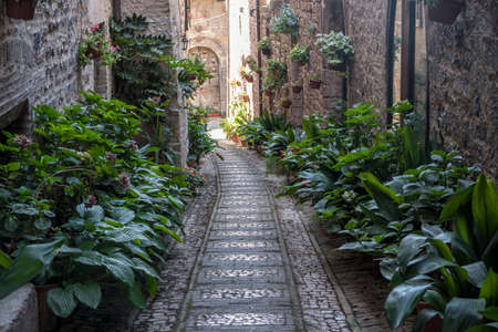 Historic buildings of Spello, medieval city (Perugia, Umbria, Italy). Alleyの写真素材