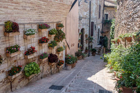 Historic buildings of Spello, medieval city (Perugia, Umbria, Italy). Alleyの写真素材