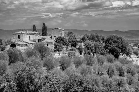 Country landscape along the road fron Chianciano to Montepulciano, Siena, Tuscany, Italy, at summer. Black and whiteの写真素材