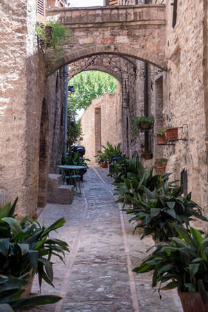 Historic buildings of Spello, medieval city (Perugia, Umbria, Italy). Alleyの写真素材