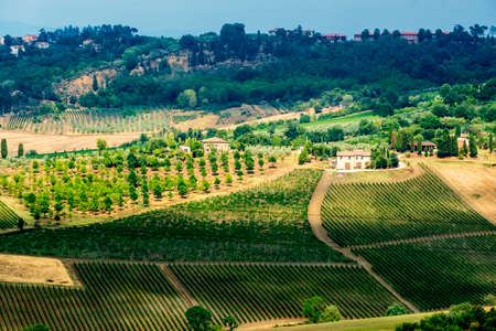 Country landscape along the road fron Montepulciano to Asciano, Siena, Tuscany, Italy, at summer. Vineyardsの写真素材