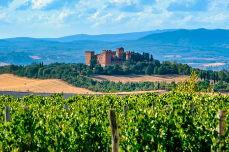 Country landscape along the road fron Montepulciano to Asciano, Siena, Tuscany, Italy, at summer. Vineyards and castleのeditorial素材