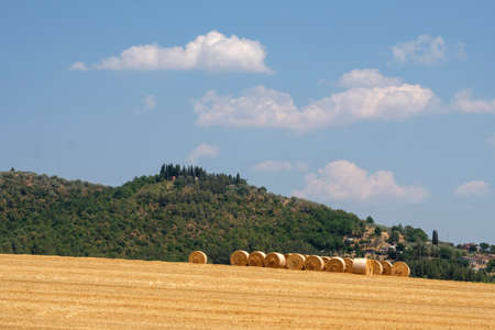 Summer landscape near Tavernelle, Perugia, Umbria, Italyの写真素材