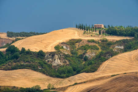 Country landscape along the road from Asciano to Torre a Castello, Siena, Tuscany, Italy, at summerの写真素材