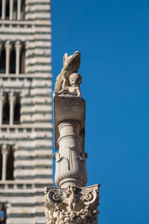 Historic buildings in SIena, Tuscany, Italy, at evening: exterior of the medieval cathedral (Duomo)の写真素材