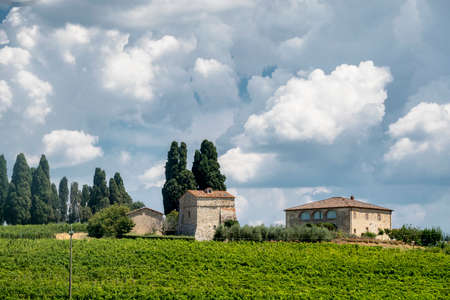 Typical rural house in the region of Chianti, in Tuscany, Italy, in a sunny summer day.のeditorial素材