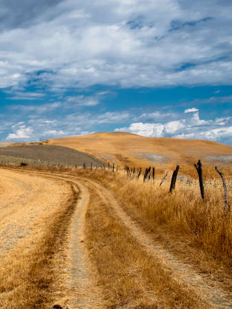 Country landscape along the road from Asciano to Torre a Castello, Siena, Tuscany, Italy, at summerの写真素材