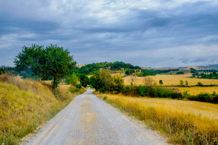 Country landscape along the road from Asciano to Torre a Castello, Siena, Tuscany, Italy, at summerの写真素材