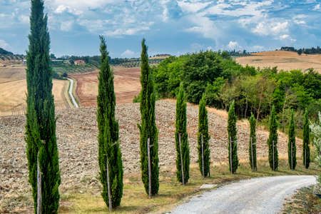 Country landscape along the road from Asciano to Torre a Castello, Siena, Tuscany, Italy, at summerの写真素材