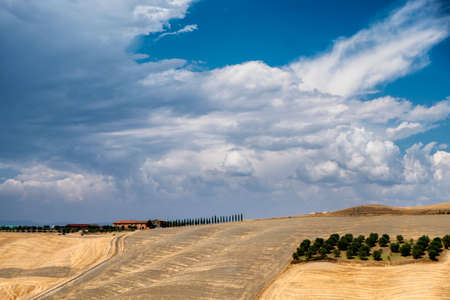 Country landscape along the road from Asciano to Siena, Tuscany, Italy, at summerの写真素材