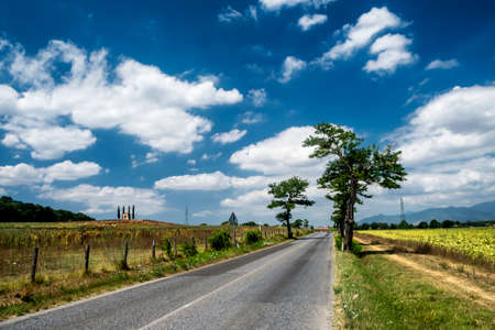 Rural landscape at summer along the road from Volterra to Ponsacco, Tuscany, Italy. Little church and cypressesの写真素材