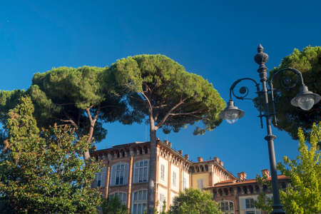 Pisa, Tuscany, Italy: the famous Piazza dei Miracoli, with the cathedral, the baptistery and the leaning towerの写真素材