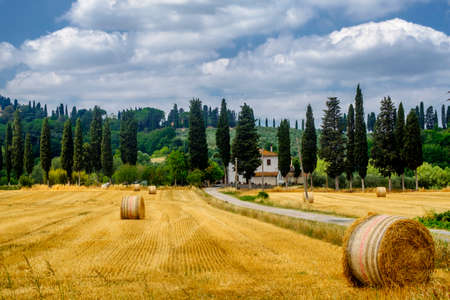 Rural landscape at summer along the road from Volterra to Ponsacco, Tuscany, Italyの写真素材