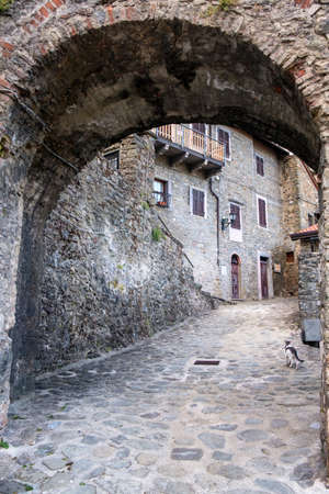 Mulazzo, Lunigiana, Massa Carrara, Tuscany, Italy, old typical villageの写真素材